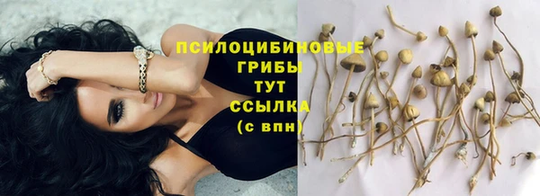 спайс Балабаново