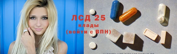 прущие грибы Балахна
