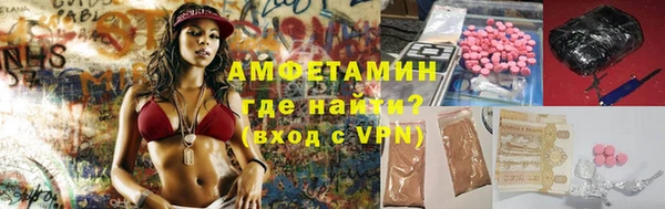 прущие грибы Балахна