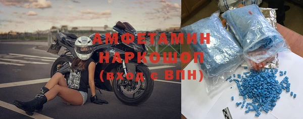 прущие грибы Балахна